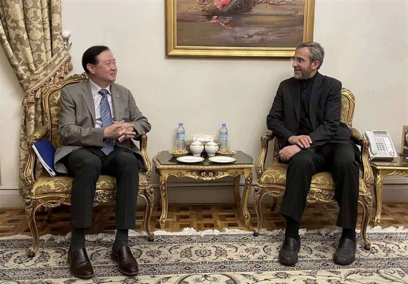 دیدار سفیر چین با علی باقری