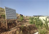 رفع تصرف 400 مترمربع از اراضی حفاظت شده در شمیرانات