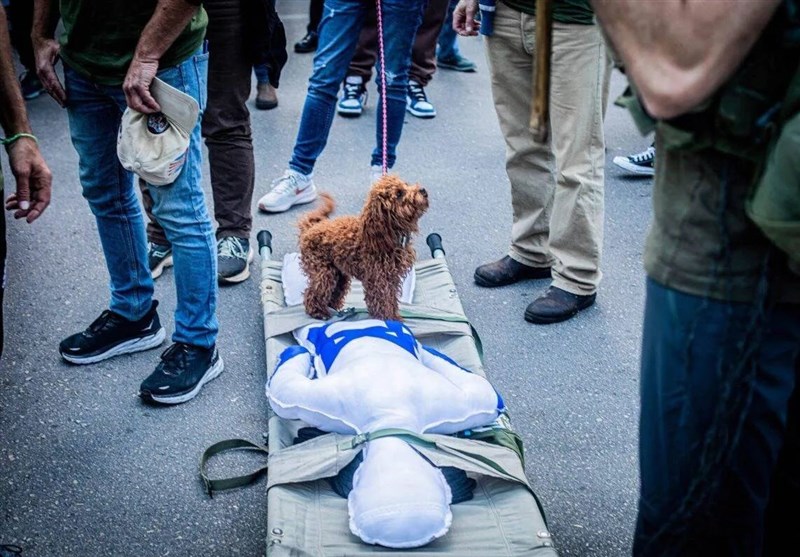 Israeli Doctors Leaving amidst Protests over Judicial Reforms