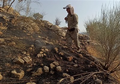طبيعت،آتش،محيط،همكاري،زيست،ايلام،دانشگاه،طبيعي،منابع،اشاره،ح ...