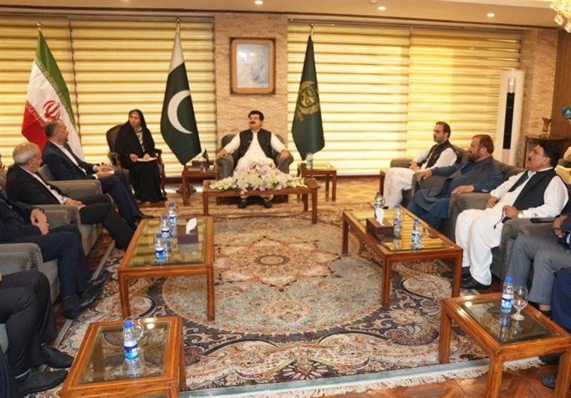 دیدار امیرعبداللهیان با رئیس مجلس سنای پاکستان