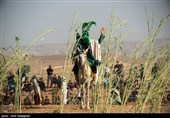 تعزیه از عاشورا تا غدیر در روستای صحرا رود فسا