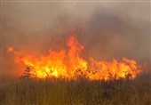 آتش‌سوزی 70 هکتار از زیستگاه‌های حیات‌وحش لرستان را نابود کرد‌