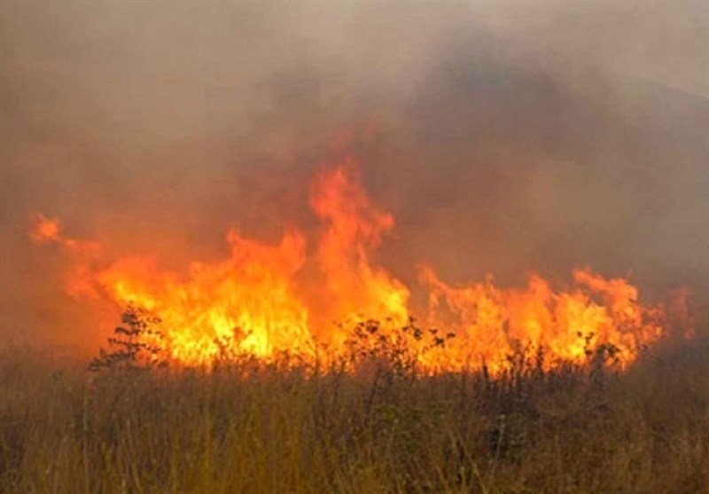 آتش‌سوزی 70 هکتار از زیستگاه‌های حیات‌وحش لرستان را نابود کرد‌