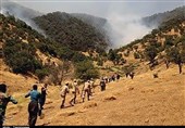 آتش‌سوزی جنگل‌های دنا مهار شد‌ + تصاویر‌