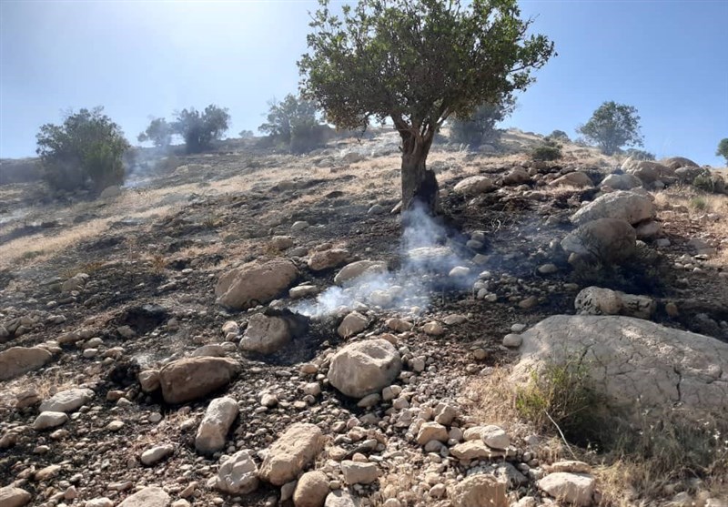 آتش‌سوزی در نهالستان منابع طبیعی سیروان + تصویر