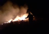پایان عملیات اطفا حریق جنگل‌های مریوان/ 450 هکتار جنگل در آتش سوخت