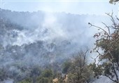 90 درصد آتش‌سوزی‌ جنگل‌های مریوان اطفا شد