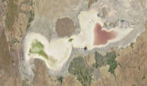 تکذیب مرگ &quot;دریاچه ارومیه&quot;/ افزایش 140هزارهکتاری سطح زیرکشت حوزه آبخیز این دریاچه! + تصویر ماهواره‌ای