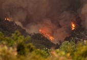 Wildfire on Spain&apos;s Tenerife Spreads across Island&apos;s North