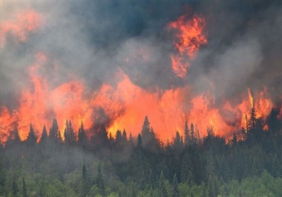  تخلیه هزاران نفر در کانادا به دلیل آتش سوزی‌های گسترده جنگلی 