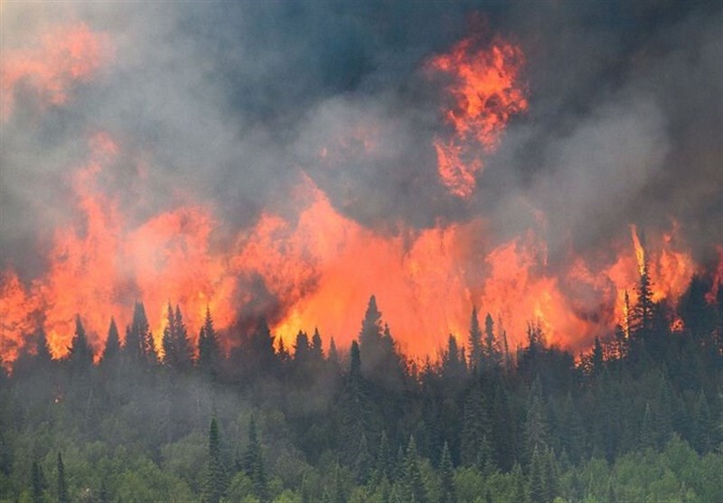 تخلیه هزاران نفر در کانادا به دلیل آتش سوزی‌های گسترده جنگلی