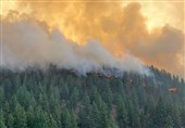 Fast-Moving Wildfires Ravage Washington State, Forcing Evacuations