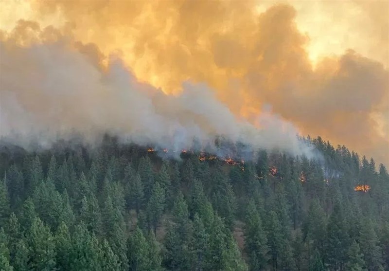 FastMoving Wildfires Ravage Washington State, Forcing Evacuations