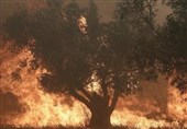 یونان در محاصره آتش‌سوزی‌های گسترده با حداقل 18 قربانی