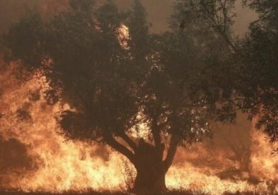  یونان در محاصره آتش‌سوزی‌های گسترده با حداقل ۱۸ قربانی 