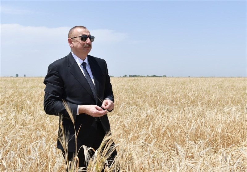 کاهش خودکفایی جمهوری آذربایجان در گندم و غلات