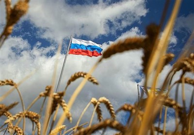  پیش بینی ادامه تسلط روسیه بر بازار غلات جهان در سال ۲۰۲۴ 