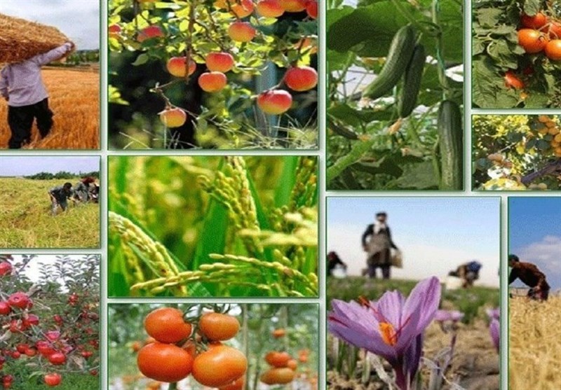 Iran, Uzbekistan to Broaden Cooperation in Agricultural Sector