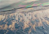 آلودگی نفتی در خلیج‌ فارس /نشت نفت در خط انتقال ‌نفت گناوه به پایانه ‌جزیره خارگ‌ + عکس