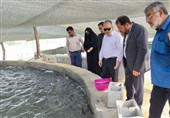 افزایش 23 تن تولید ماهی پرورشی در استان بوشهر