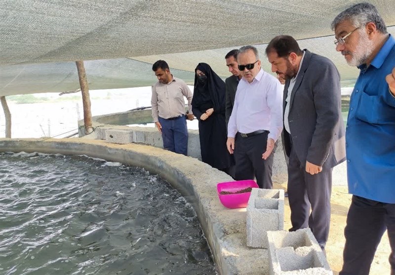 افزایش 23 تن تولید ماهی پرورشی در استان بوشهر