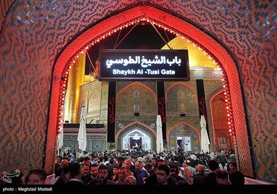 مرقد الامام علي (ع) على أعتاب الأربعين الحسيني