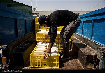 خدمت‌رسانی به زئران اربعین حسینی در مرز چذابه