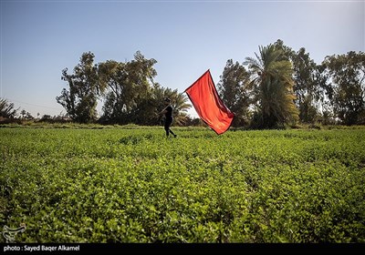 پیاده روی زائرین اربعین حسینی - عراق