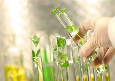 مركز،ژنتيك،ژنتيكي،ميبد،دستگاه،تحقيقات،كشور،پيشگيري،ارائه،توس ...