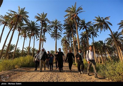 پیاده روی زائرین اربعین حسینی از طریق العلما