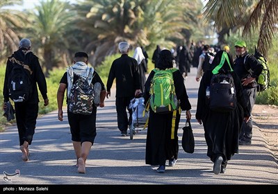 پیاده روی زائرین اربعین حسینی از طریق العلما