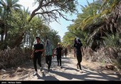 پیاده روی زائرین اربعین حسینی در مسیر نجف به حله