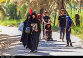 پیاده روی زائرین اربعین حسینی در مسیر نجف به حله