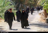 پیاده روی زائرین اربعین حسینی در مسیر نجف به حله