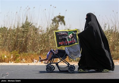 پیاده روی زائرین اربعین حسینی در مسیر نجف به حله