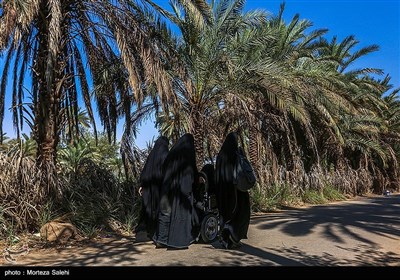 پیاده روی زائرین اربعین حسینی در مسیر نجف به حله
