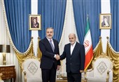 احمدیان: همکاری و هم افزایی ایران و ترکیه امنیت ساز و ثبات آفرین است