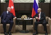 Erdogan, Putin to Discuss Ukraine, Grain Deal during Turkey Visit: Minister