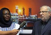 Iran Ready to Build Oil Refinery, Export Technical-Engineering Services to Burkina Faso: Oil Minister