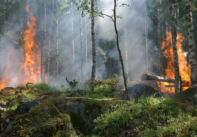 آتش در حیات‌وحش لرستان/ خسارت به 18هکتار از مناطق حفاظت‌شده