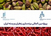 اجرای پروژه بین‌المللی برندسازی زعفران و پسته ایران از سوی سازمان ثبت اسناد