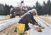 UN Expert Raises Alarm About &apos;Contemporary Forms of Slavery&apos; in Canada