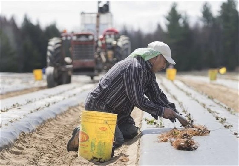 UN Expert Raises Alarm About &apos;Contemporary Forms of Slavery&apos; in Canada