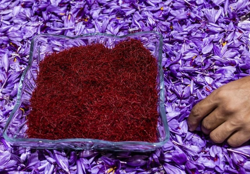 Iran’s Export of Saffron Up 52% in 5 Months: Spokesperson
