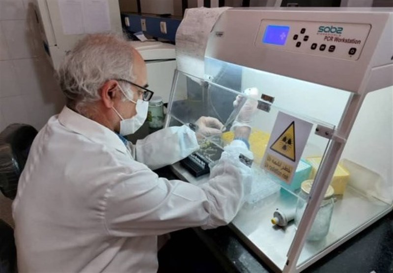 دستیابی محققان ایرانی به روش درمانی جدید برای درمان بیماری &quot;تصلب شرائین&quot;