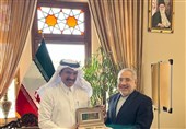دیدار سفیر عربستان با مدیرکل تشریفات وزارت امور خارجه ایران