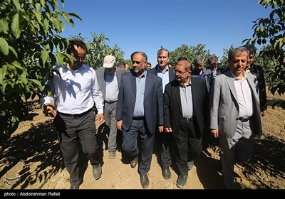 سفر وزیر جهاد کشاورزی به استان همدان