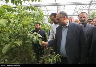 سفر وزیر جهاد کشاورزی به استان همدان