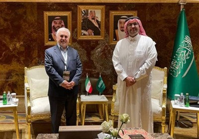  دیدار قائم مقام وزیر میراث فرهنگی با دستیار وزیر فرهنگ عربستان 